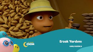 Erzak Yardımı  Haklı Karınca [upl. by Jeffcott]