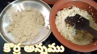 కొర్ర అన్నము  How to Cook Foxtail Millet Rice  చిరుధాన్యాలు రెసిపీస్  Bhagar Recipes [upl. by Miner]