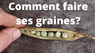 Comment faire ses graines de potager [upl. by Rauscher]