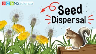 Seed Dispersal [upl. by Aicileb]