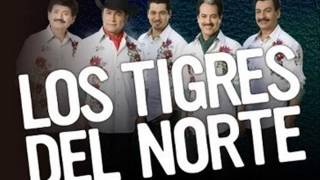 La Ultima CopaLos Tigres del Norte [upl. by Aisor217]