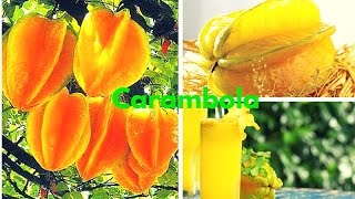 CARAMBOLA 14 Importantes Propiedades Medicinales para la Salud [upl. by Winfield]