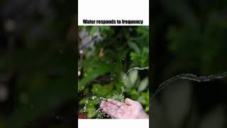 HOW and WHY Frequency Affects Water [upl. by Bass]