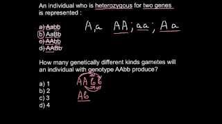 Heterozygosity Homozygosity problem and solution [upl. by Buff]