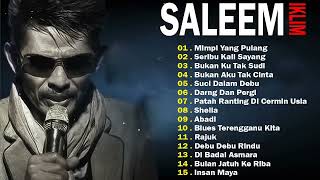 saleem iklim full album [upl. by Ahtiekahs]