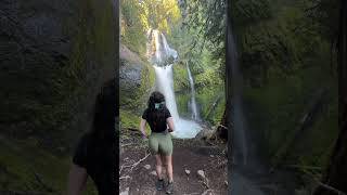 Beautiful waterfall in Oregon youtubeshorts nature beautifuldestinations viralvideo [upl. by Marte301]