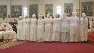 ወረብ  Wereb at Debre Selam St Michael Ethiopian Orthodox Tewahedo Church Seattle [upl. by Nahtonoj]