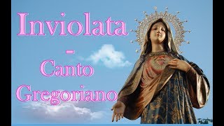 Inviolata  Canto gregoriano Himno a la Virgen María [upl. by Imerej]