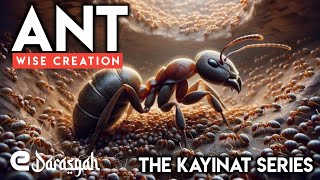 The creation of Ant  The Kainat Series Ep13  eDarasgah  Science Tech Islam edarasgah [upl. by Danny25]