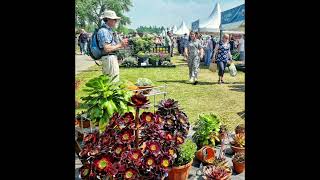 malvern rhs show [upl. by Uchish804]