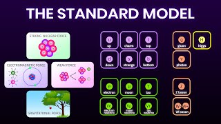 All Fundamental Forces and Particles Explained Simply  Elementary particles [upl. by Suhpesoj]