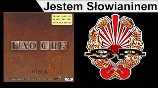 LAO CHE  Jestem Słowianinem OFFICIAL AUDIO [upl. by Eniamurt]