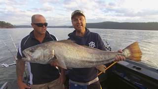 IFISH Hawkesbury Mulloway [upl. by Theresa]