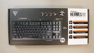 GAMDIAS Hermes E2 Mechanical Keyboard Review [upl. by Narok]