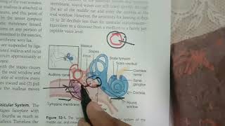 Guyton chp 53 part 1 Conduction of sound from Tympanic membrane to Cochlea [upl. by Belford491]