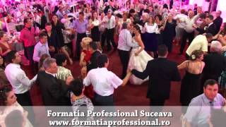 FORMATIA PROFESSIONAL LIVE 2013  Colaj Moldova Geo Anita [upl. by Kimon207]