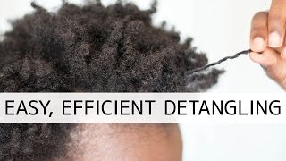 How To Easily Detangle Natural Hair [upl. by Popper]