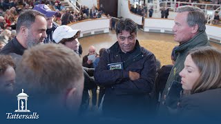 Tattersalls October Yearling Sale Book 1 Day 1 Review 2024 [upl. by Nola460]