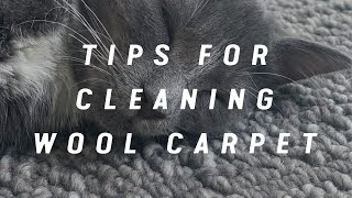 Tips for Cleaning Your Wool Carpet  Bremworth Wool Carpets amp Rugs [upl. by Ligetti439]