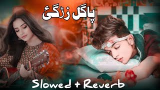 Pagl Zargayi SlowedReverb Pashto Best Song Pashto New song Tappy 2024 نیو پشتو سونگ [upl. by Jordon392]