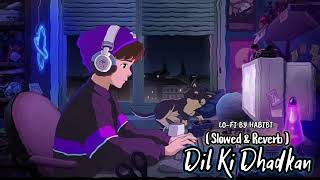 Dil Ki Dhadkan  LOFI BY HABIBI Mind Relax Lofi Song  Mind FreshLofi Songs  Slowed amp Reverb [upl. by Ennazus177]