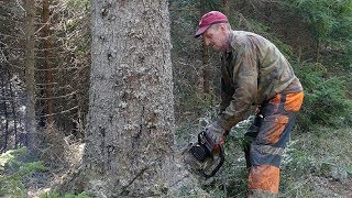 Motorna pila Rašidova družbenica 40 godina [upl. by Nitsruk84]