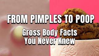 From Pimples to Poop Gross Body Facts You Never Knew You Needed to Know [upl. by Annoya]