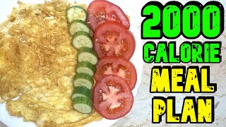 2000 Calorie Meal Plan [upl. by Eilla870]