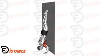 Pompes en équilibre contre le mur Handstand push ups [upl. by Weig723]