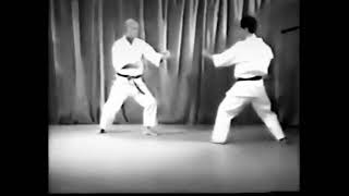 T Suzuki  Wado Ryu Karate Ohyo Gumite No 6 [upl. by Rogovy]