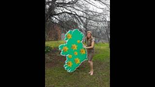 RTE’s Weather Forecaster Nuala Carey predicts a shower of Daffodils this Friday [upl. by Lyrahs]