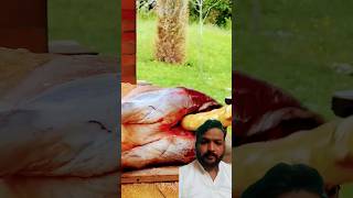 BarrelRoasted Lamb FireKissed and FlavorPackedquot yt ytshorts shortvideo foodie bbq cooking [upl. by Imyaj]