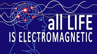 Alles Leben Ist Elektromagnetisch [upl. by Anoerb857]