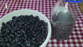 SİYAH ZEYTİN KURULUMU ZEYTİN Zeytinkurulumu HOMEMADEBLACKOLIVES [upl. by Endaira39]