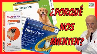 🚨 DUDAS CON LA PASTILLA PARA PERROS ANTIPULGAS Y GARRAPATAS 🚨NEXGARD SPECTRA BRAVECTO Y SIMPÁRICA [upl. by Stent]