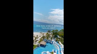 Explore the beauty of Jamaica with Sandals Resorts Which region will you choose [upl. by Ennovahc]