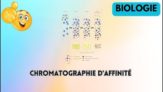 chromatographie daffinité biologie [upl. by Stanly]