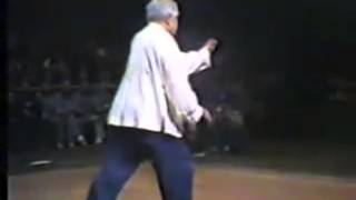 Fu Zhong Wen Performing Yang Family Tai Chi [upl. by Pierpont]