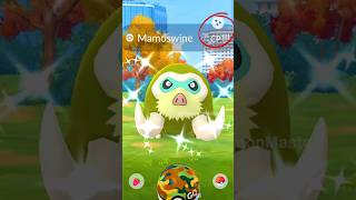 LETS GO 3400 CP ✨ Shiny Mighty Mamoswine Caught Pokemon GO [upl. by Nauqram441]