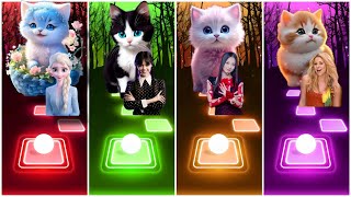 Cute cat Wednesday  Cute cat elsa  Waka waka  Jisoo Flower Song Tileshopedmrush [upl. by Musette88]