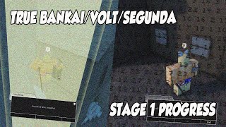 True BankaiVoltSegunda STAGE 1 TYPE SOUL [upl. by Lengel]