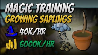 Growing Saplings 40K EXP  6000K GPHr [upl. by Sylado]