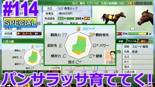 【ウイポ9 2022】114 主役は緑札 パンサラッサ！引き継ぎあり！難易度SPECIAL！2020年1月4週～【ウイニングポスト9 2022 Switch版】 [upl. by Penney]