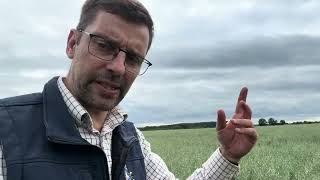 Revesby Estate Arable Update July 2024 [upl. by Portland]