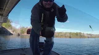 Trying a new Crappie bait on Lake Russell [upl. by Palladin]