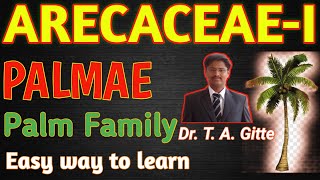 ARECACEAE FAMILY│Palmae Family│Palm Family│Arecaceae│Palmae│palmfamily│arecaceaefamilycharacter [upl. by Nurat6]