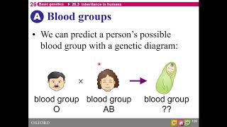 HKDSE Biology  Basic Genetics  Part 3 [upl. by Farl886]