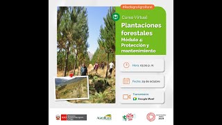 Curso Plantaciones forestales Módulo 4 Protección y mantenimiento – 29102024 [upl. by Roobbie]