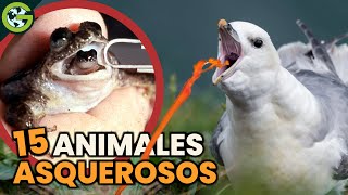 Las 15 Cosas Más ASQUEROSAS Que Hacen los ANIMALES 🐸 [upl. by Anthe]