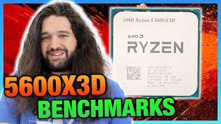 AMD Ryzen 5 5600X3D CPU Review amp Benchmarks Last Chance Upgrade [upl. by Borg]